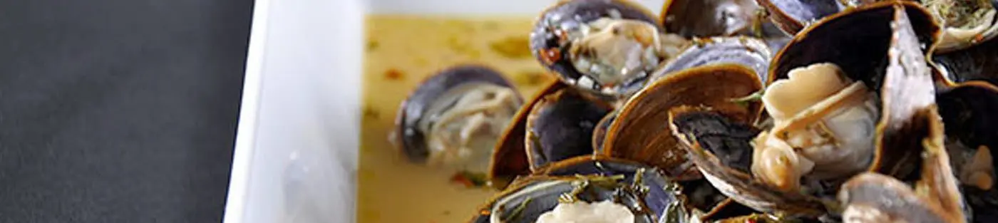 Clams in sauce on white plate.