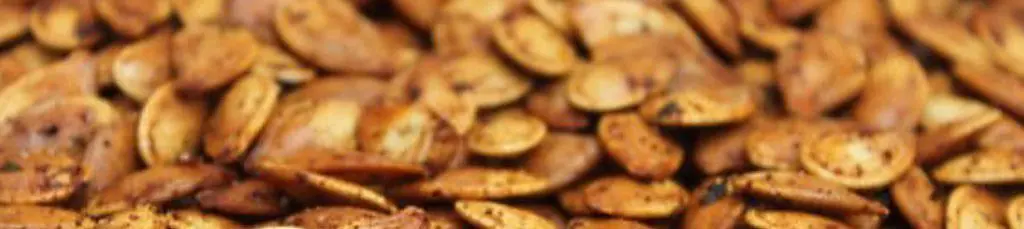 Roasted pumpkin seeds with seasoning.