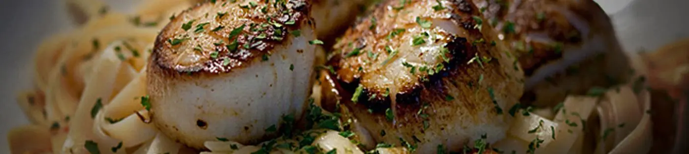 Seared scallops on pasta with herbs.
