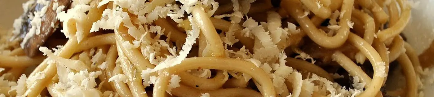 Pasta topped with grated cheese close-up.